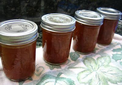 pint canned tomato sauce recipe homemade tomato sauce tomato sauce canned tomato sauce