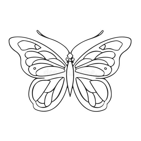 Thin Linear Butterfly Monochrome Illustration Vector Decoration Stock