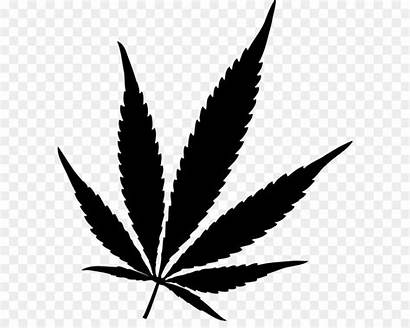 Weed Vector Cannabis Marijuana Graphics Getdrawings Vectors