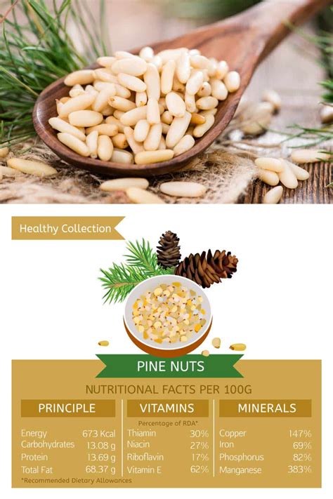 9 Different Types Of Lug Nuts Fruit Recipes Healthy Pine Nuts