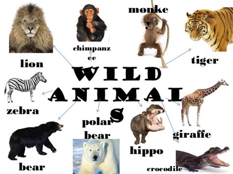 PLAY, LEARN AND GROW TOGETHER!: PETS/ DOMESTIC AND WILD ANIMALS