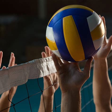 Adult Volleyball Club | City of Takoma Park