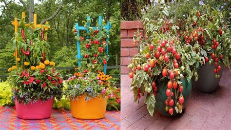 Creative Container Vegetable Gardening Ideas Clever Gardens For Small