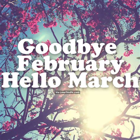 15 Goodbye February Hello March Quotes