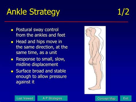 Ppt Postural Control And Balance Powerpoint Presentation Free