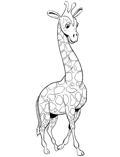 20 Desenhos De Girafas Para Colorir E Imprimir Online Cursos Gratuitos