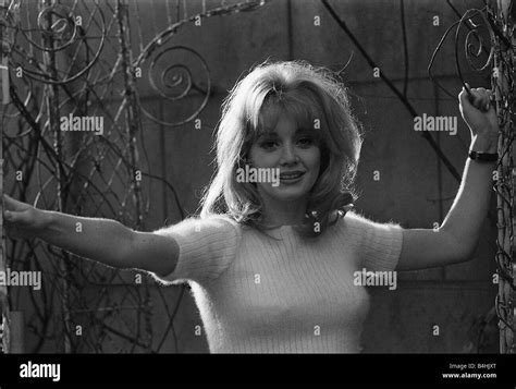 Actress Elaine Taylor 1969 Stock Photo 20057040 Alamy