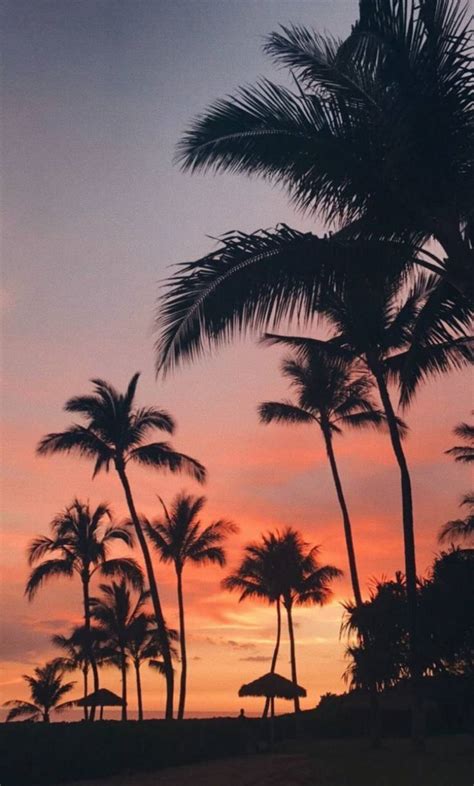 We hope you enjoy our rising collection of aesthetic wallpaper. Aesthetic sky wallpaper by xoxoangela1 - 88 - Free on ZEDGE™