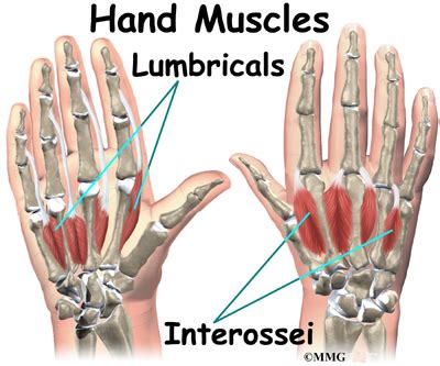 Topic detail | Concord Orthopaedics