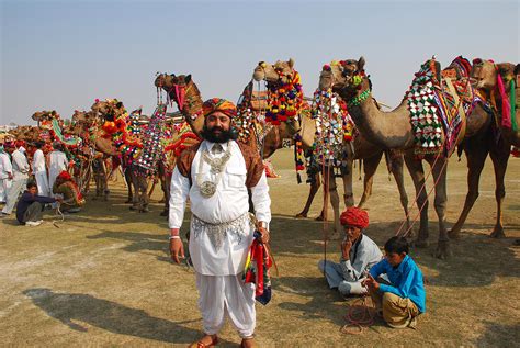 Camel Festival Bikaner Photograph By Rakesh Sharma