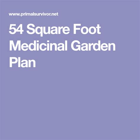 54 Square Foot Medicinal Garden Plan Garden Planning How To Plan