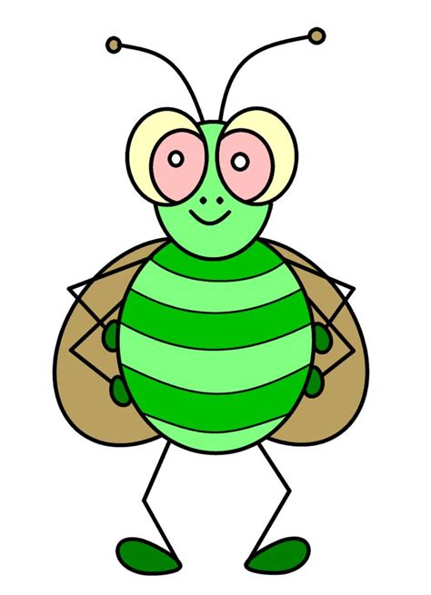 Cricket Insect Cartoon Images 47 2021