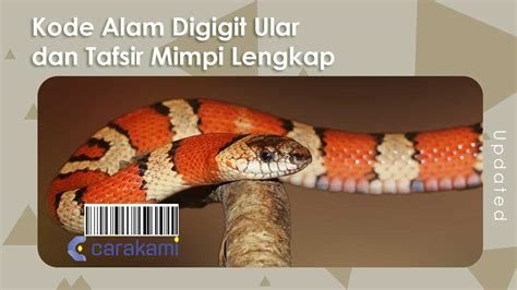 mimpi ular kecil