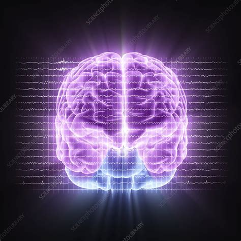Brain Activity Artwork Stock Image F0064599 Science Photo Library