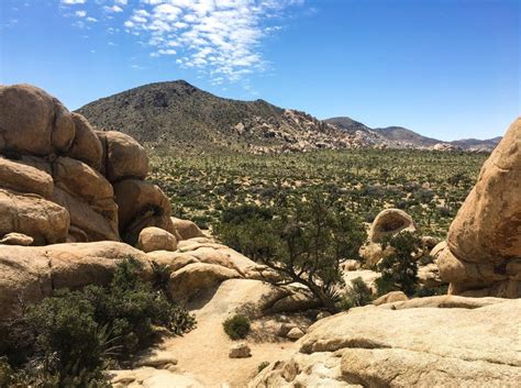 Hiking In Joshua Tree National Park 8 Incredible Day Hikes The