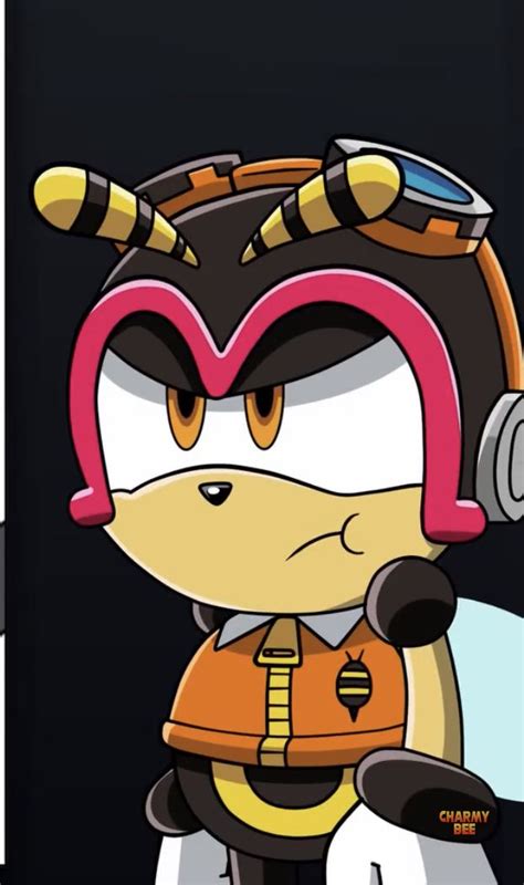 Charmy Bee Mad Tails And Sonic Pals