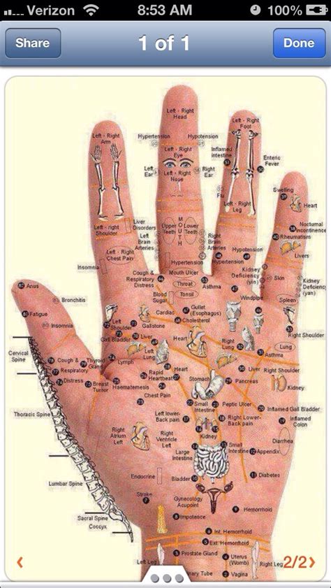 Massage Points On Your Hands Musely