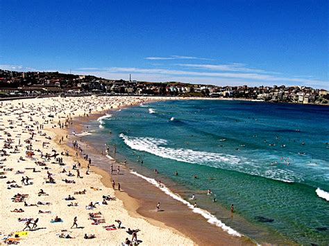 Top 10 Beaches In Australia Hostelbookers