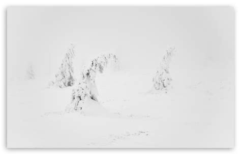 Winter White Snow Aesthetic Ultra Hd Desktop Background