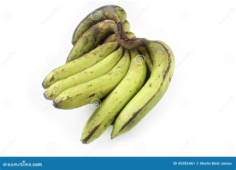 Ripe Green Banana Stock Image Image Of Delicious Agriculture 45585461