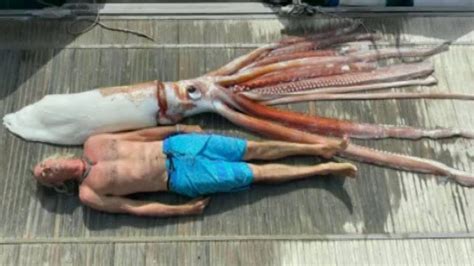 This Is The Giant Squid Found In The Waters Of The Canary Islands