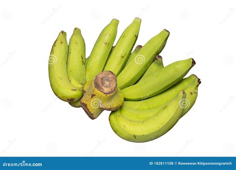 The Green Raw Cavendish Banana Isolated On White Background Healthy