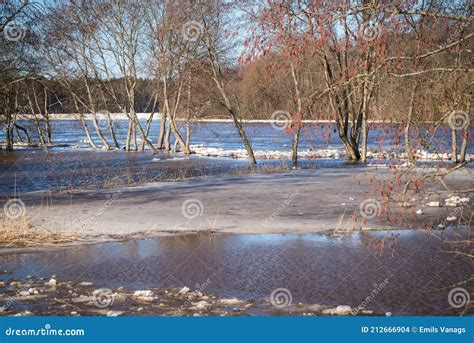 Spring Floods Flooded Meadow With Trees Stock Photo Image Of Grass