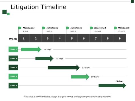Litigation Timeline Ppt Sample File Powerpoint Templates Designs