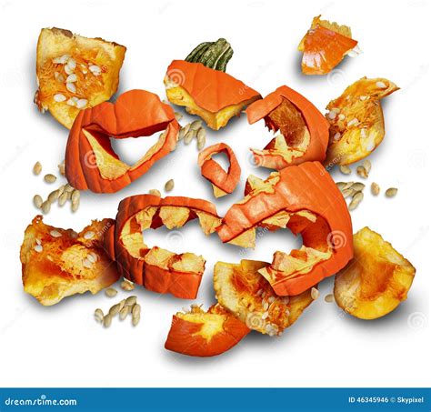 Pumpkin Smashed Stock Illustration Illustration Of Halloween 46345946