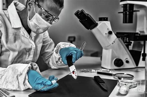 Forensic Investigator Examining Evidence In Lab Photograph By Microgen