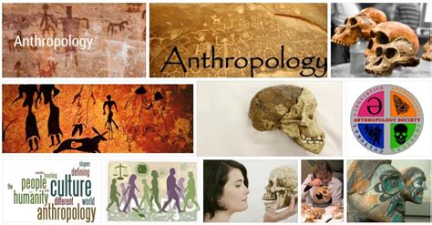 Meaning Of Anthropology Bestitude