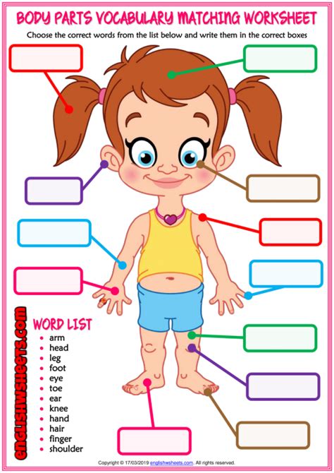 Learn human body parts names, parts of face, parts of hand and internal body parts in english and urdu with pictures also download lesson in pdf and watch video. Body Parts ESL Matching Exercise Worksheet For Kids