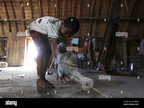 Kamayura Tribe In The Xingu Hi Res Stock Photography And Images Alamy
