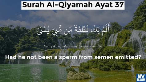Surah Qiyamah Ayat 37 7537 Quran With Tafsir My Islam