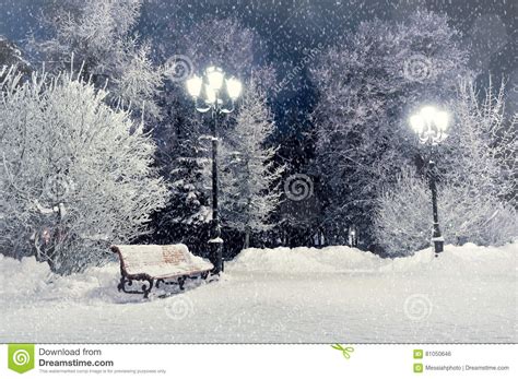 Winter Night Landscape Bench Covered With Snow Among Frosty Winter Trees And Lights Stock Photo