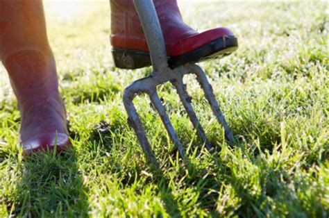 Now is the optimal time to do fall aerating. Aerating Your Lawns Grass and Soil | Lawn Aeration