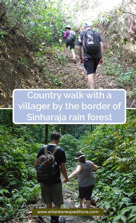Country Walk With A Villager By The Border Of Sinharaja Rain Forest