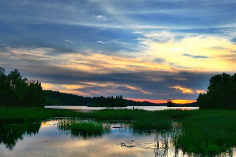 A wildlife scientist, owens has published three nonfiction books about her life and work in africa, and her evocative prose earned her the john burroughs. In Where the Crawdads Sing, the Marsh Is Alive | Shortform ...