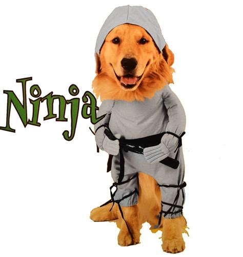 Ninja Dog Costume Pet Costumes Pet Costumes For Dogs Pet Halloween