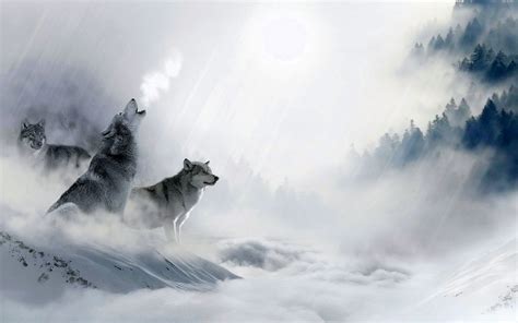 Desktop Wolf Howling Wallpapers Wallpaper Cave
