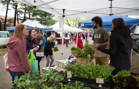 Cityseed Farmers Markets In Connecticut Are Incredible
