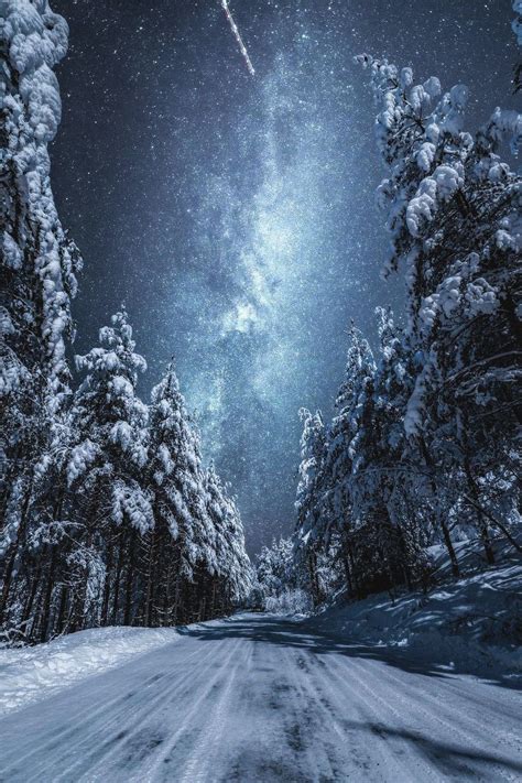 Mystical Winter Scenery Winter Landscape Scenery