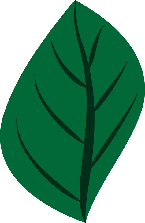 Green Leaf Clipart Free Download Transparent Png Creazilla