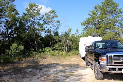 The ocala national forest has some awesome campgrounds nestled among america's southernmost forest. REVIEW Ocala National Forest Boondocking Site | Ocala ...
