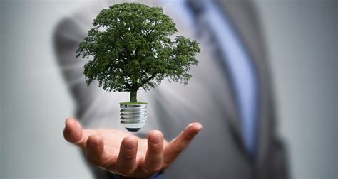 How Businesses Can Introduce Sustainable Practices Into Their Companies