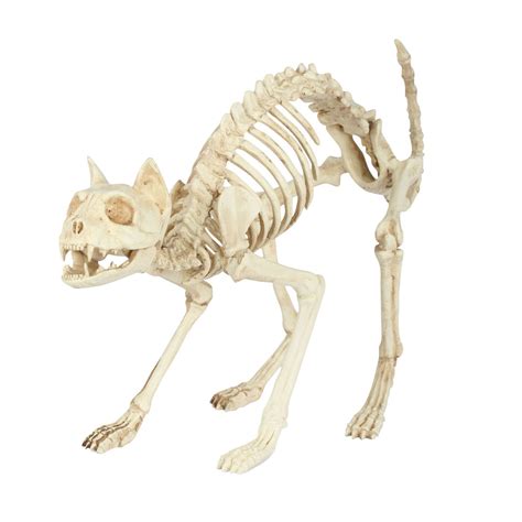 Dog skeleton has a moveable jaw and bendable tail. Totally Ghoul Skeleton Cat Halloween Decoration - Seasonal ...