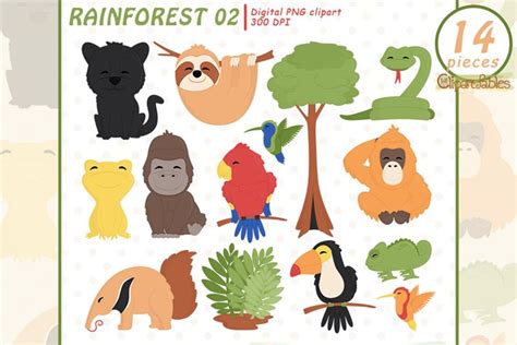 Cute Rainforest Clipart Wild Jungle Animals Clip Art