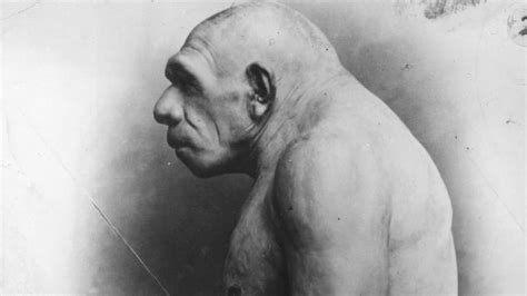Neanderthal Viruses Found In Modern Human Dna