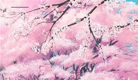 Anime Sakura Tree Live Wallpaper