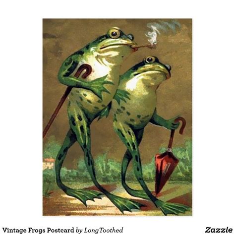 Vintage Frogs Postcard Frog Illustration Frog Art Frog
